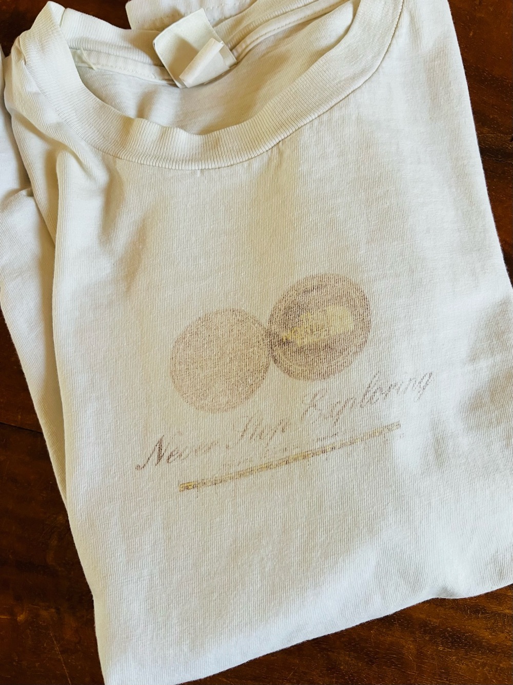 Unisex Graphic Tee North Face “Never Stop Exploring” Y2K Worn Neutrals